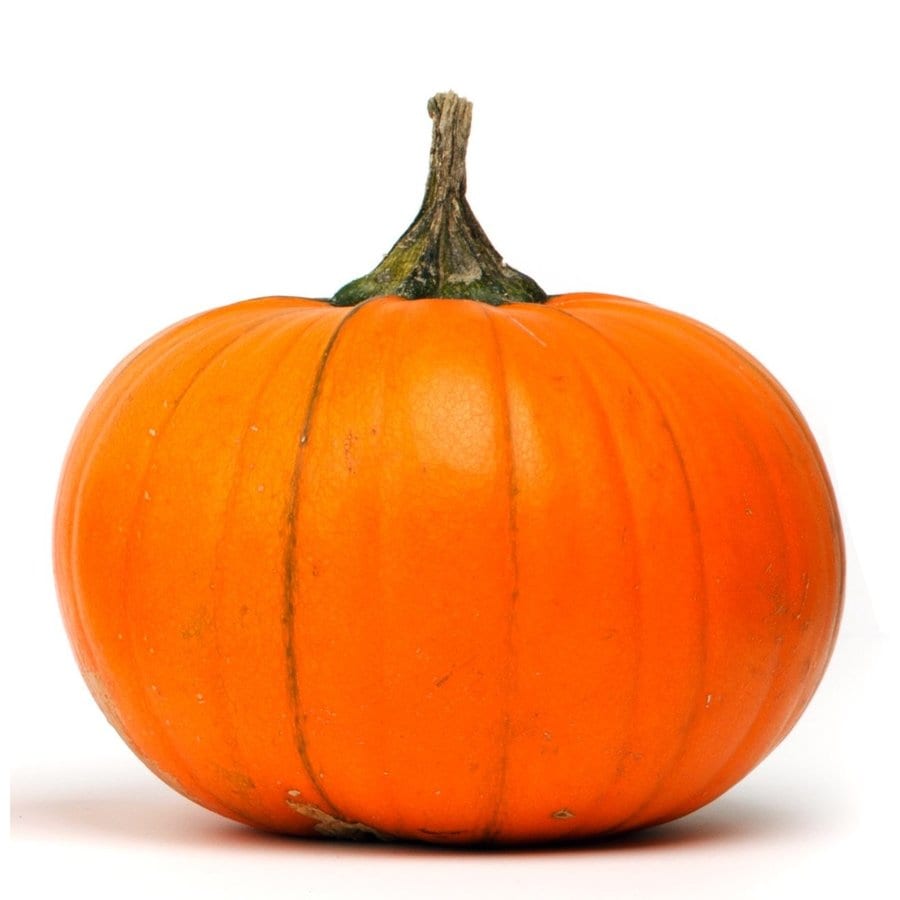 Pumpkins at Lowes.com