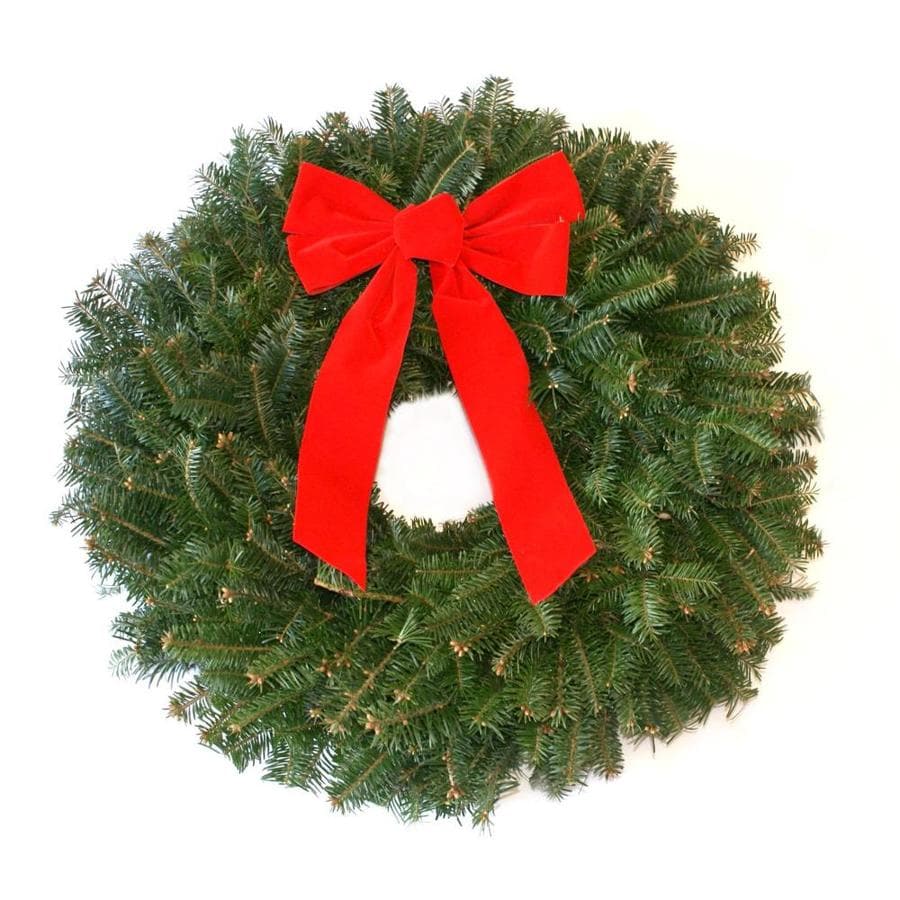 22-in Fresh Fraser Fir Christmas Wreath with Bow at Lowes.com