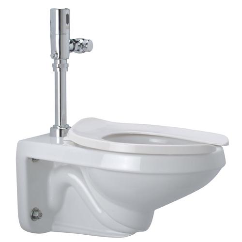Zurn White Elongated Custom Height Toilet WallHung in the Toilets