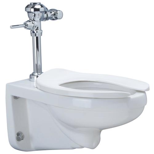 Zurn White WaterSense Elongated Custom Height Wall-hung Toilet Wall ...