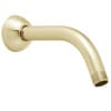 Speakman 1-in Polished Brass Shower Arm and Flange at Lowes.com