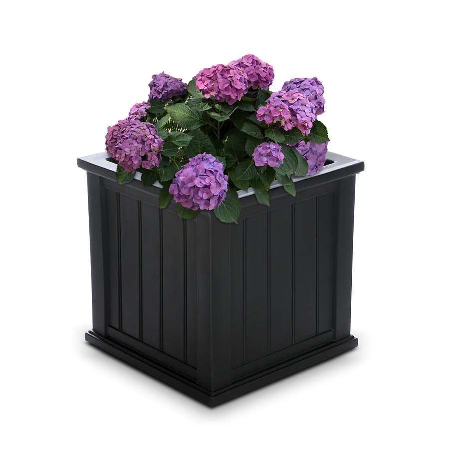 Mayne 20-in W x 20-in H Black Resin Self Watering Square Planter at Lowes.com