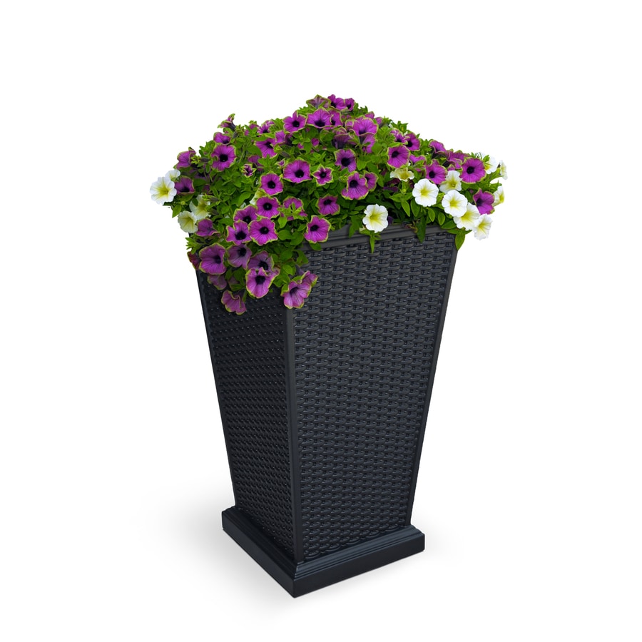 Shop Mayne 16-in x 28-in Black Resin Planter at Lowes.com