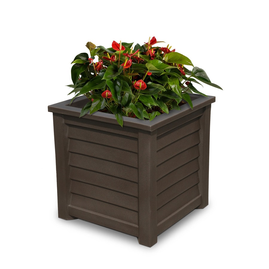 Shop Mayne 20-in W x 20-in H Espresso Resin Square Planter ...