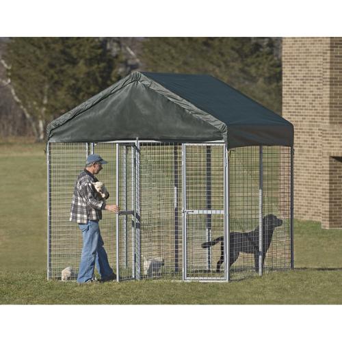 ShelterLogic 8' x 8' x 6' Dog Kennel with Duplex Kit at