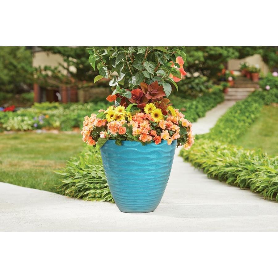 allen + roth 15-in W x 13.33-in H Teal Resin Planter with Drainage ...