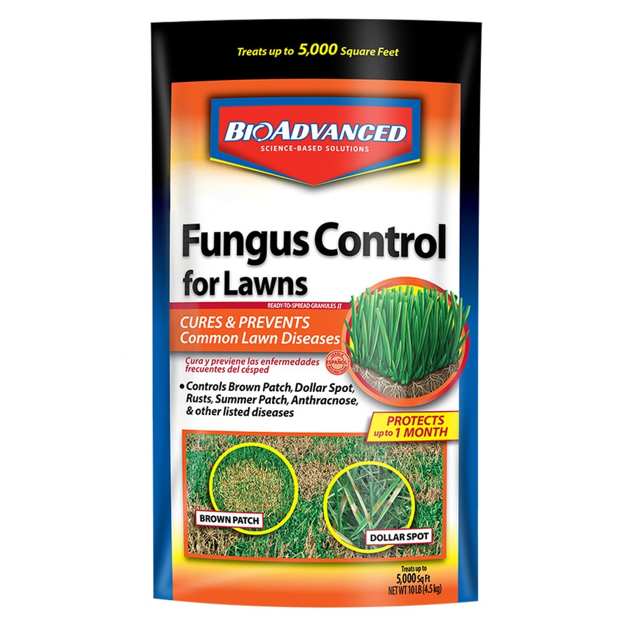 Shop BAYER ADVANCED 10lb Lawn Fungus Control at