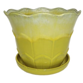 allen + roth 10.04-in W x 8.66-in H Ceramic Round Planter