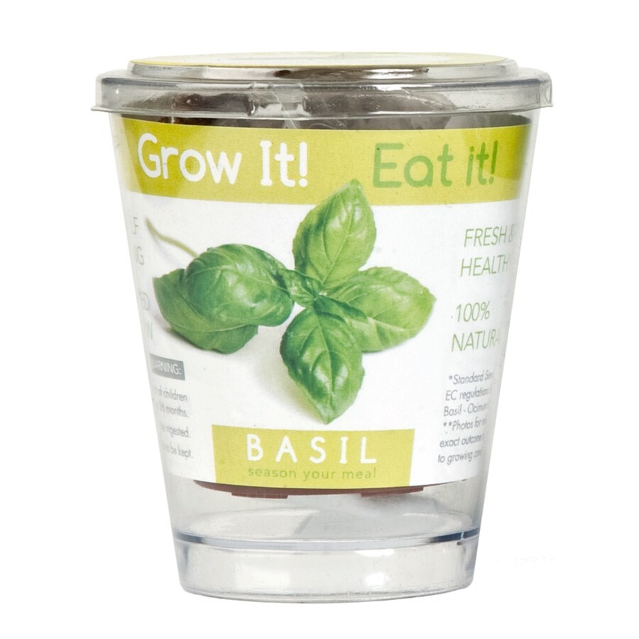 Buzzy Herb Gardening Kit at Lowes.com