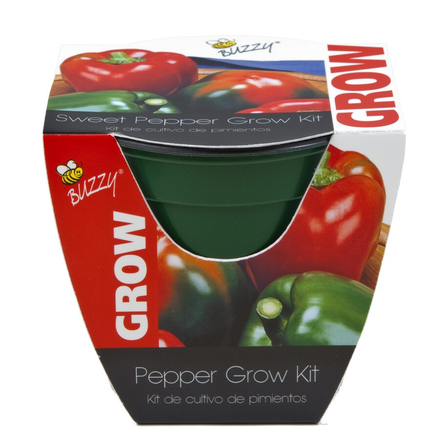 Buzzy Vegetable Gardening Kit at