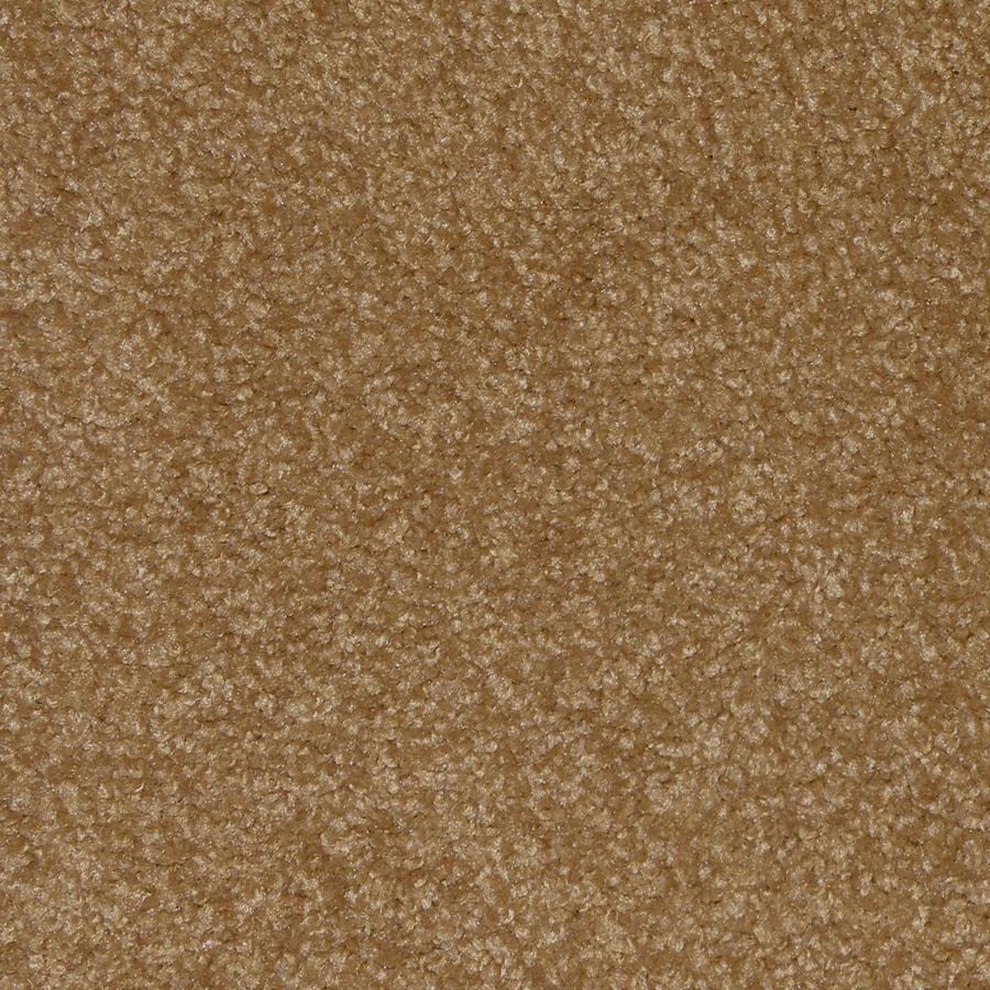 STAINMASTER Stainmaster Gallery Linden Carpet at