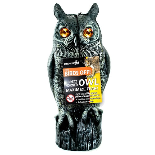 Bird-X Great Horned Owl Scarecrow (Decoy) Repellent Animal and Rodent ...