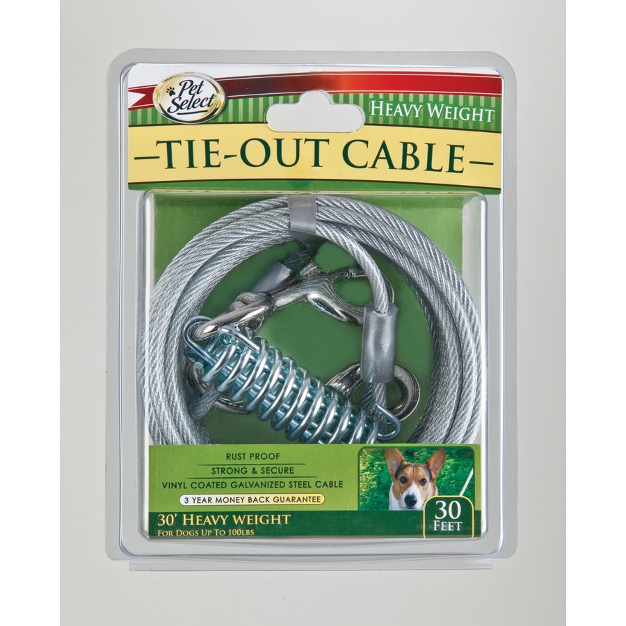 Dog tie out 2024 cable 30 ft