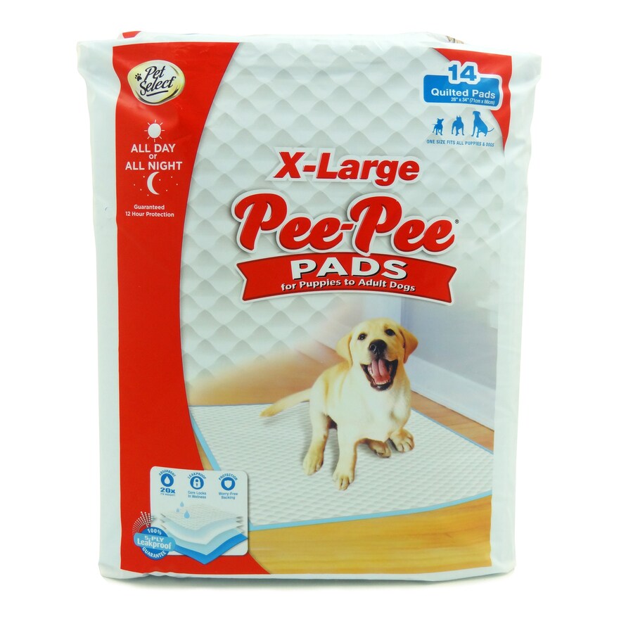 lowes dog food