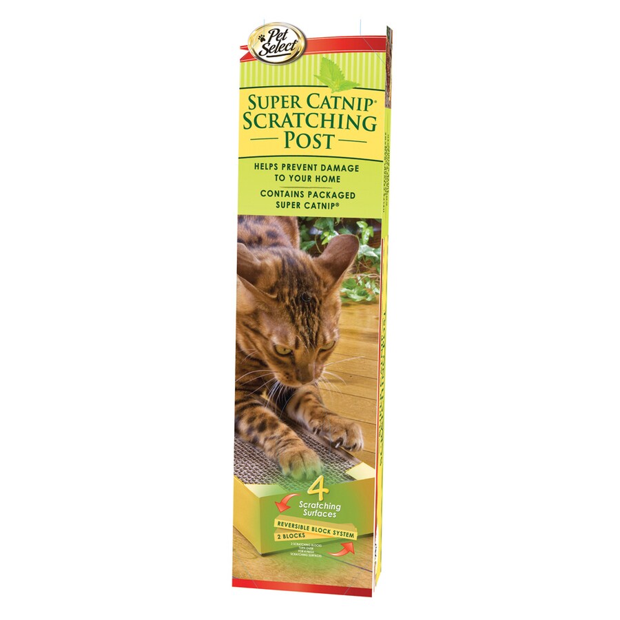 Four Paws 91668 Cardboard Scratching Post with Catnip