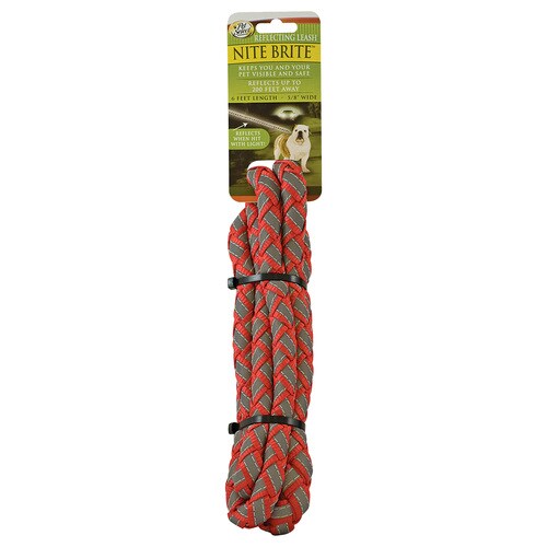Pet Select Red Reflective Nylon Dog Leash At Lowes Com