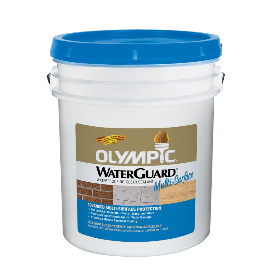 Olympic WaterGuard 1 gal. Clear Multi-Surface Exterior Wood Sealer