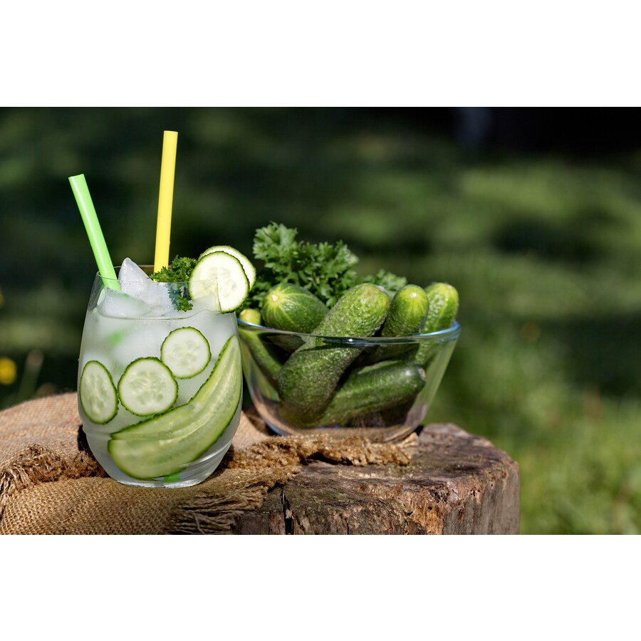 Bonnie Plants 25ozPack in Pot Cucumber Cooler Plant (Vegetable Plant