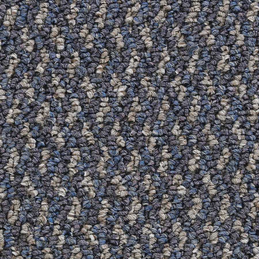 Encounter Persian Blue Commercial Loop Indoor Carpet at Lowes.com