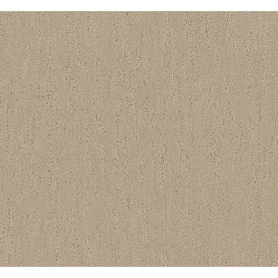 STAINMASTER B7017-1703-1200-AB Active Family Magic Fresh Gallatin Carpet