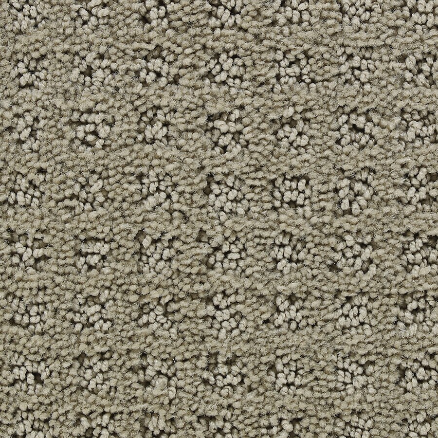 STAINMASTER B7019-1904-1200-AB Active Family Magic Fresh Hermitage Carpet