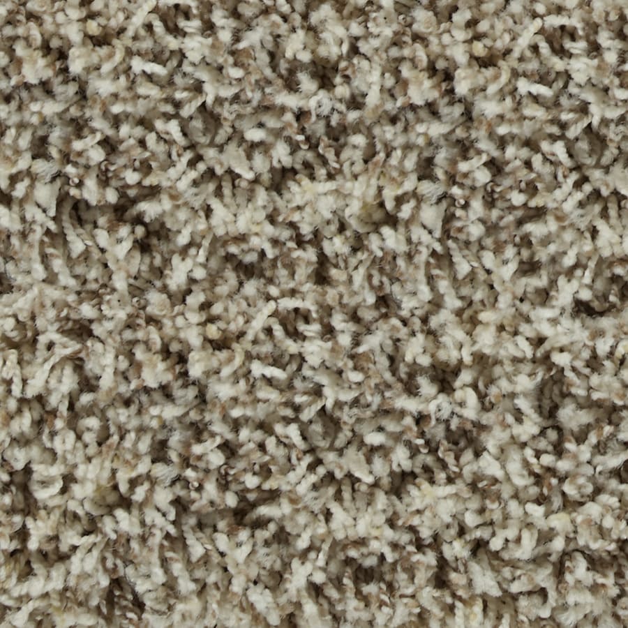 STAINMASTER B7022-2202-1200-AB Active Family Carefree Windsor Carpet