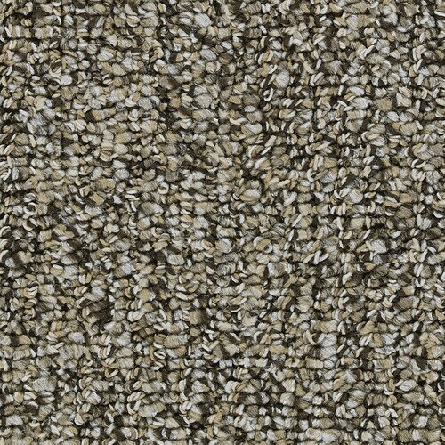 Coronet Cornerstone Elegant Berber Indoor Carpet at Lowes.com