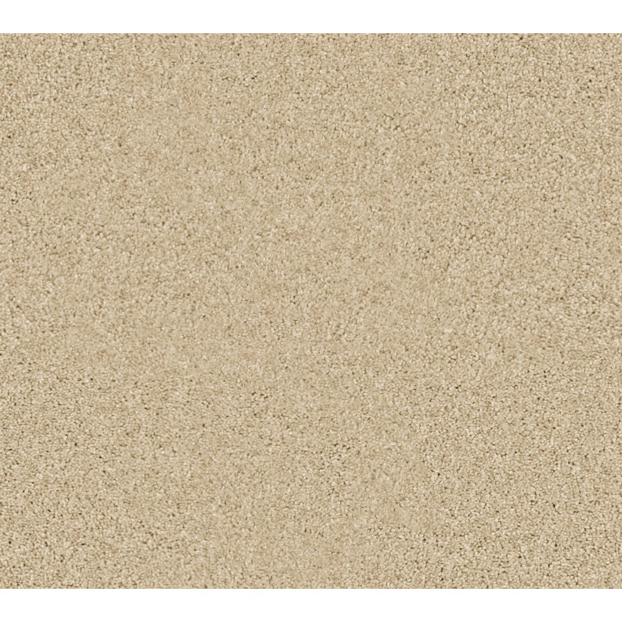 Coronet B7060-16-1500-AB 15-ft Program Bush Textured Interior Carpet