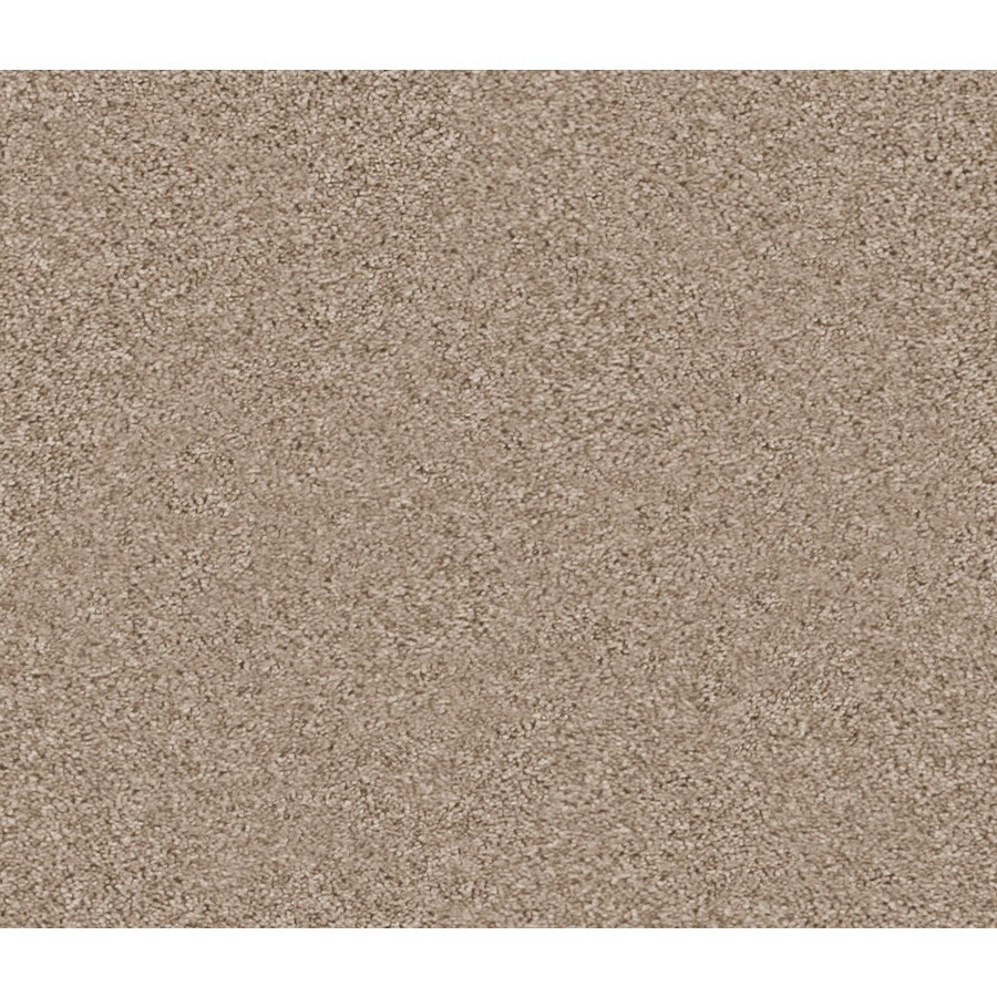 Program Level Headed Berber/Loop Interior Carpet at