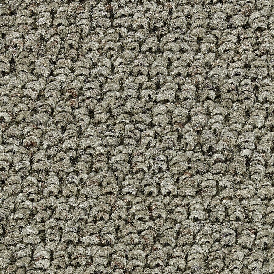 Coronet B7065-03-1200-AB 15-ft Program Extensive Berber/Loop Interior Carpet