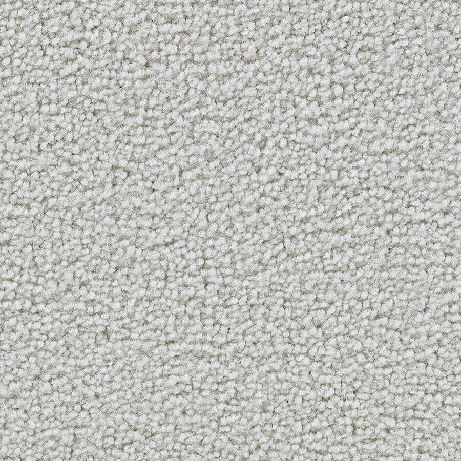 Coronet B7071-27-1500-AB 15-ft Program Powerful Berber/Loop Interior Carpet