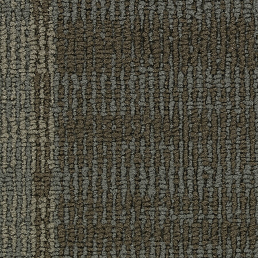 Coronet T1114-06-24X24-NT Entrepreneur Money Maker Berber/Loop Carpet Tile (72-sq ft)