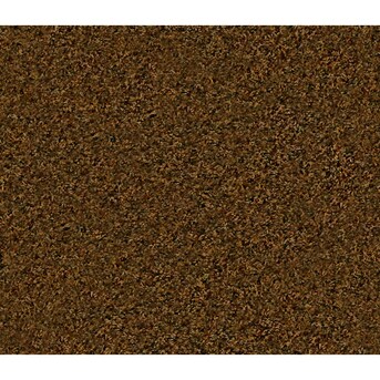 Stainmaster Undefined In The Carpet