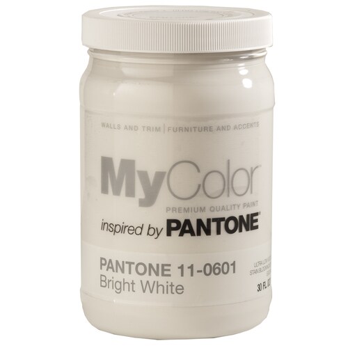 Restore Eggshell Bright White Interior Paint (1Quart) in the Interior