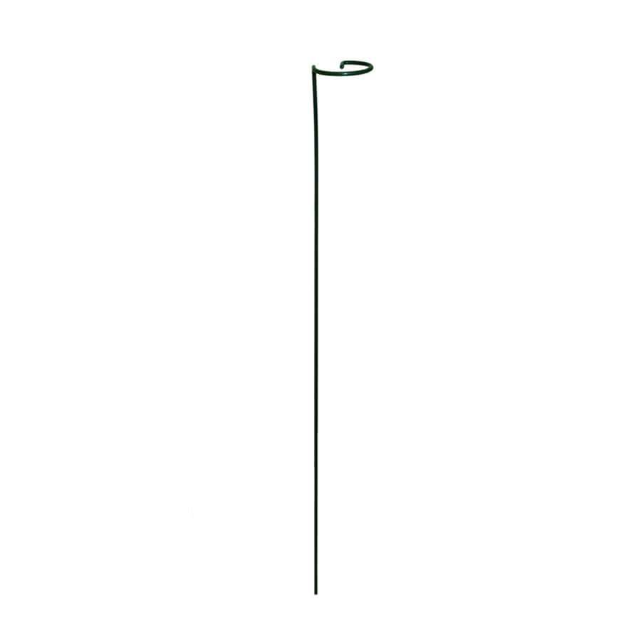 Gardener's Blue Ribbon 36-in Green Metal Stake at Lowes.com