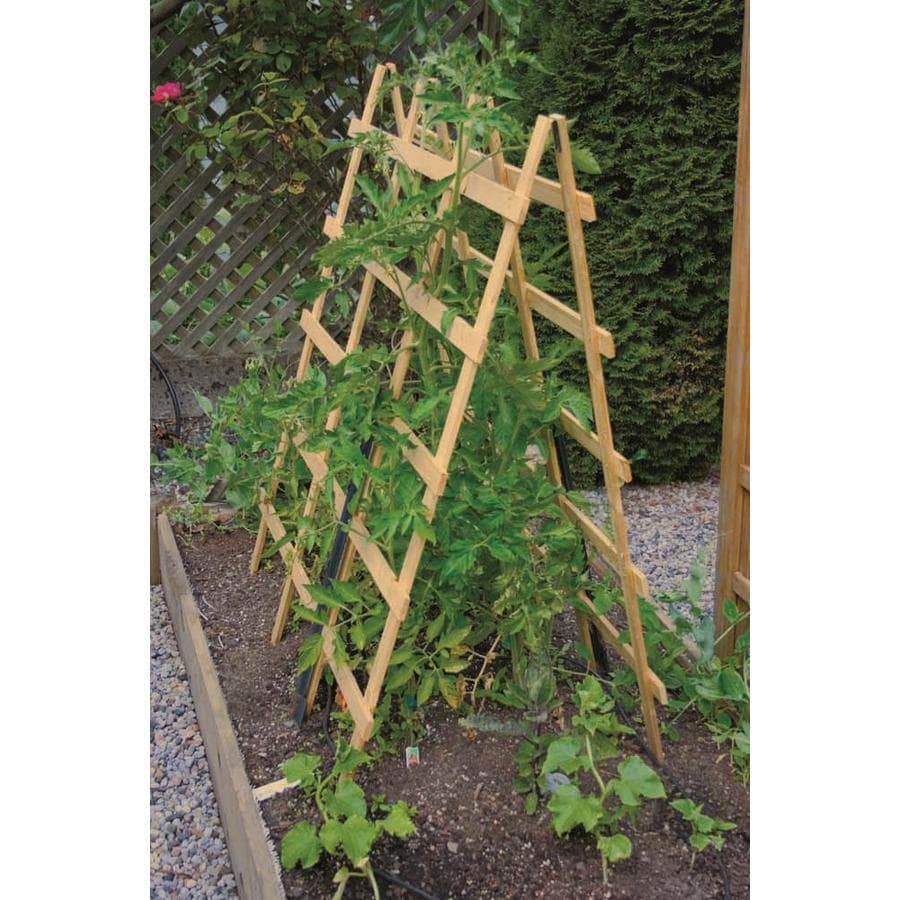 15 Tomato Cage Ideas to Help You Grow a Huge Harvest