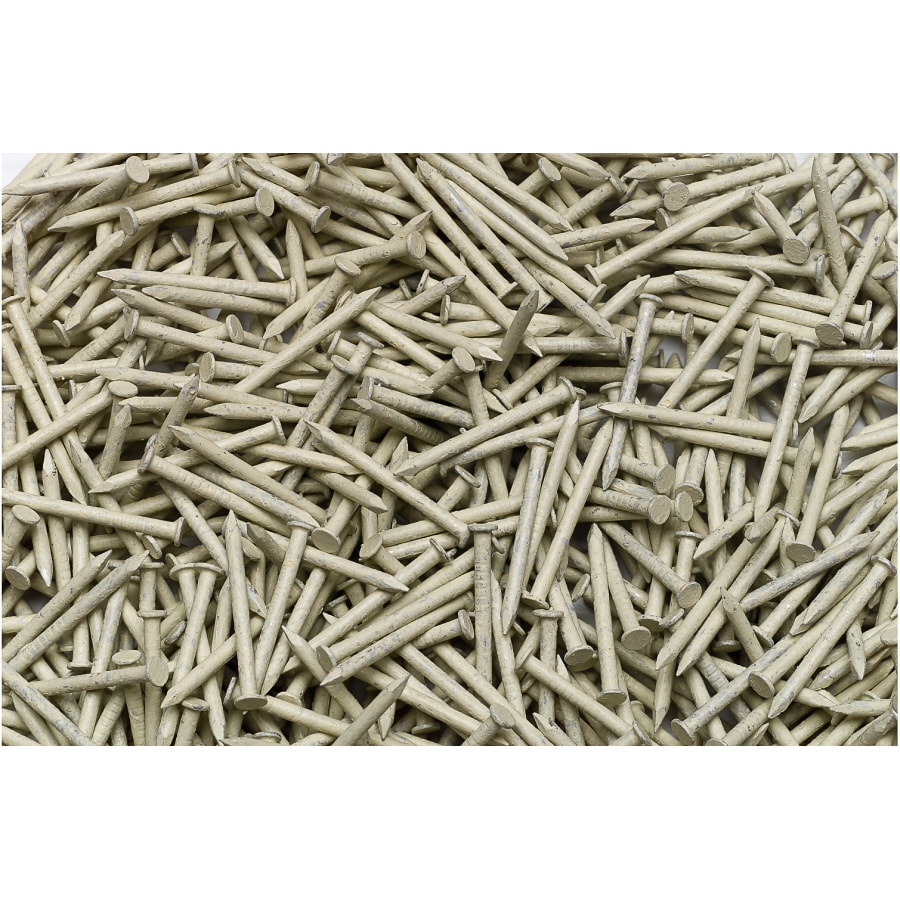 1.25in White Siding Nails at