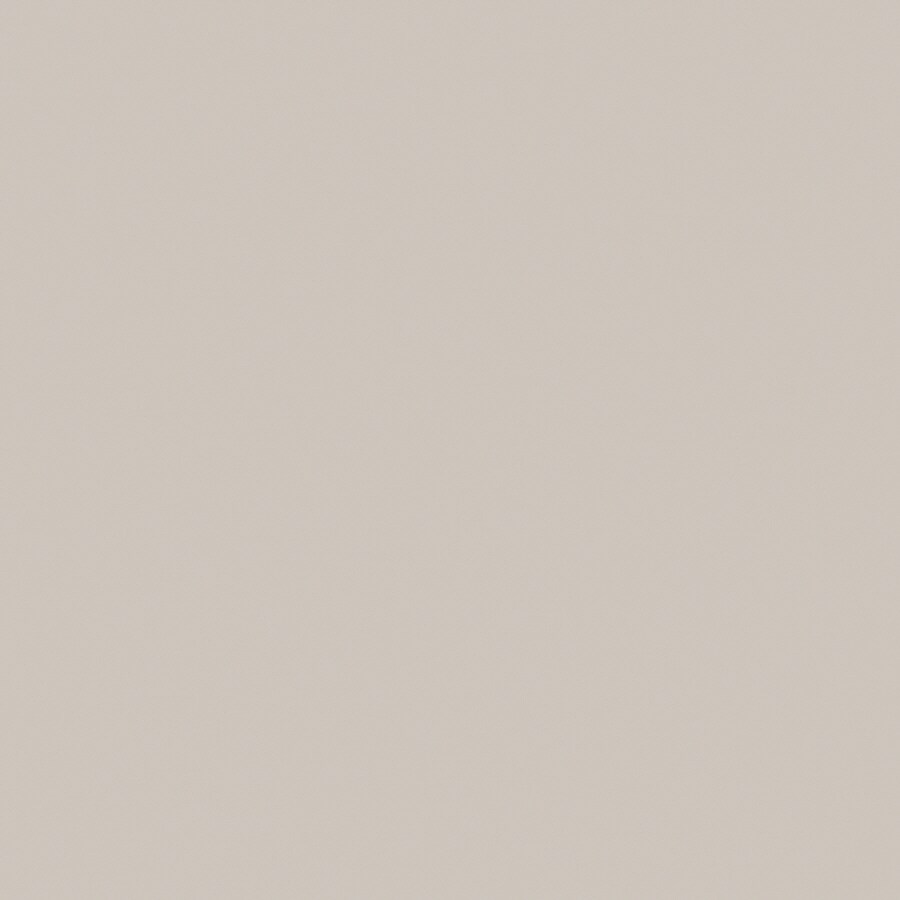 Formica Brand Laminate 902-58-48X144-000 48-in W x 144-in L Platinum-matte Kitchen Sheet