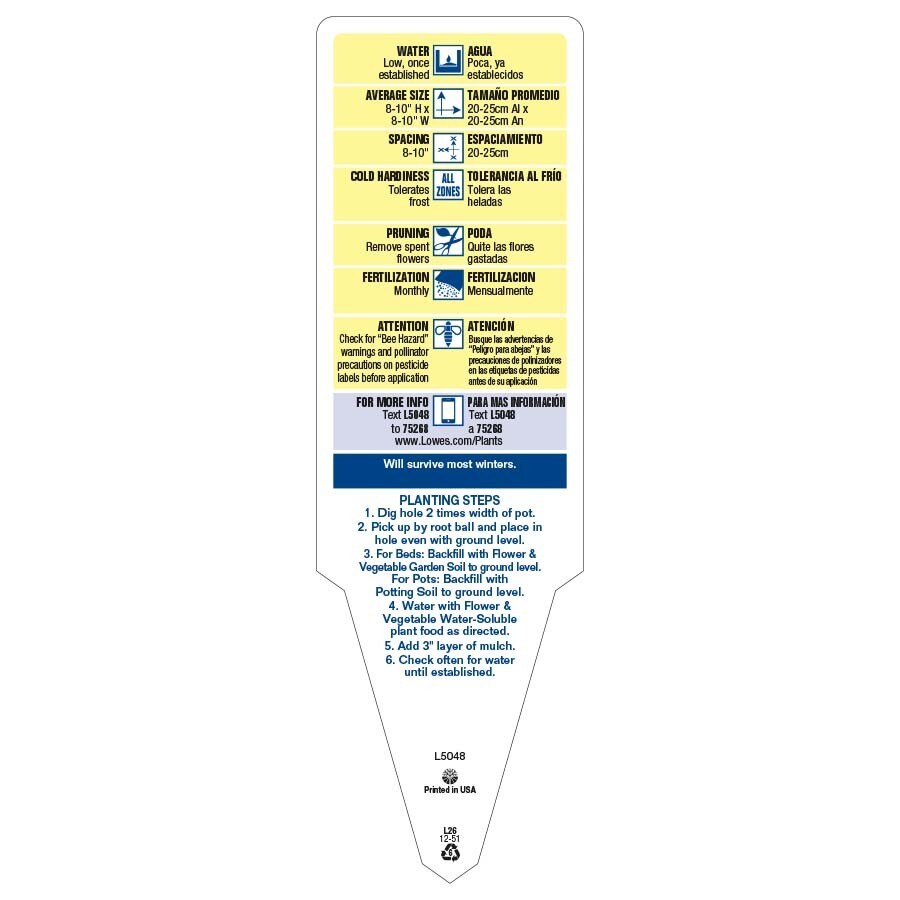 Ready Refill NURSERY annuals - View #4