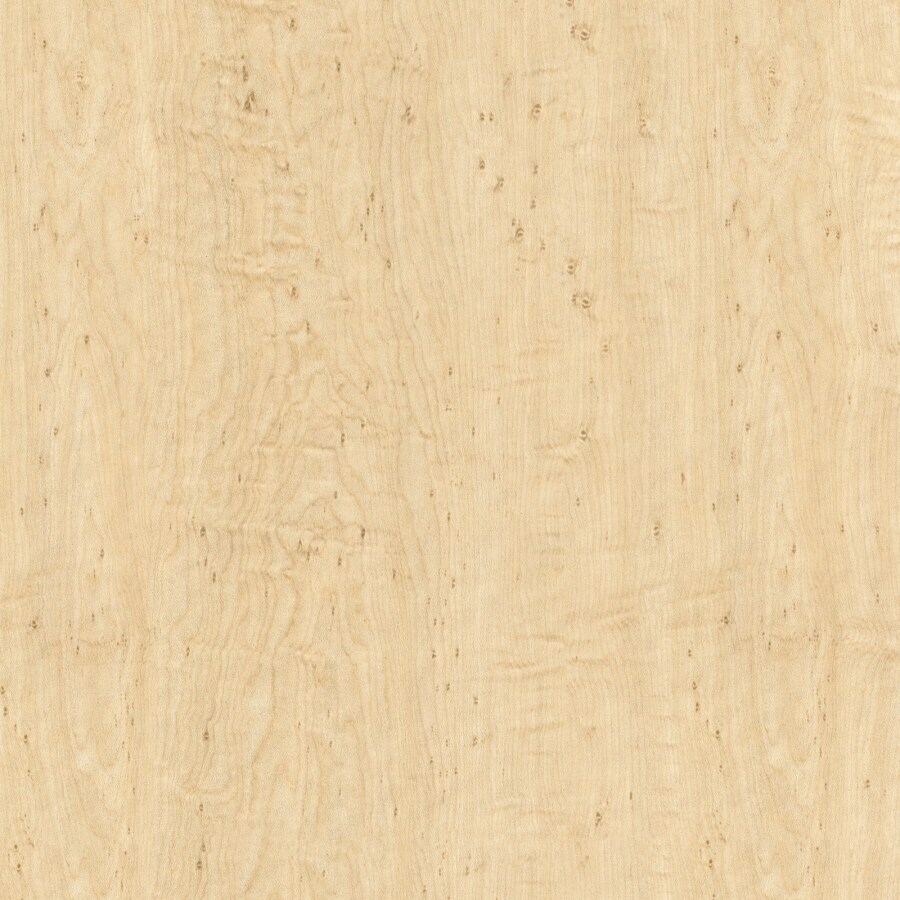 Wilsonart Standard 48 In X 144 In Limber Maple Laminate Kitchen Countertop Sheet At 8824