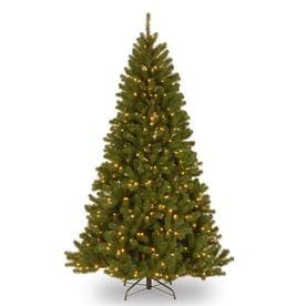 6.5 North Valley Spruce Tree with Clear Lights