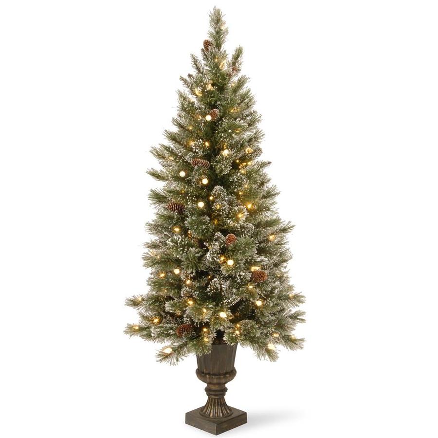 National Tree Company 5ft Bristle Pine PreLit Potted Traditional
