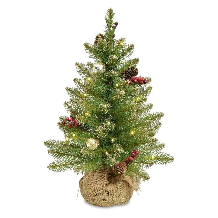 National Tree Company 2-ft Pre-Lit Traditional Artificial Christmas Tree with 15 Constant White 