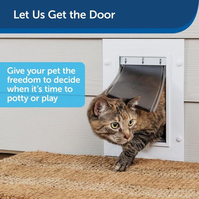 PetSafe Medium White Plastic Wall Pet Door in the Pet Doors department at