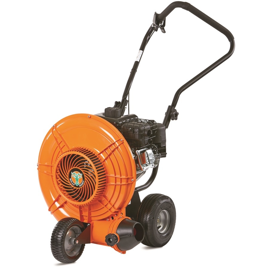 Walkbehind Leaf Blowers at