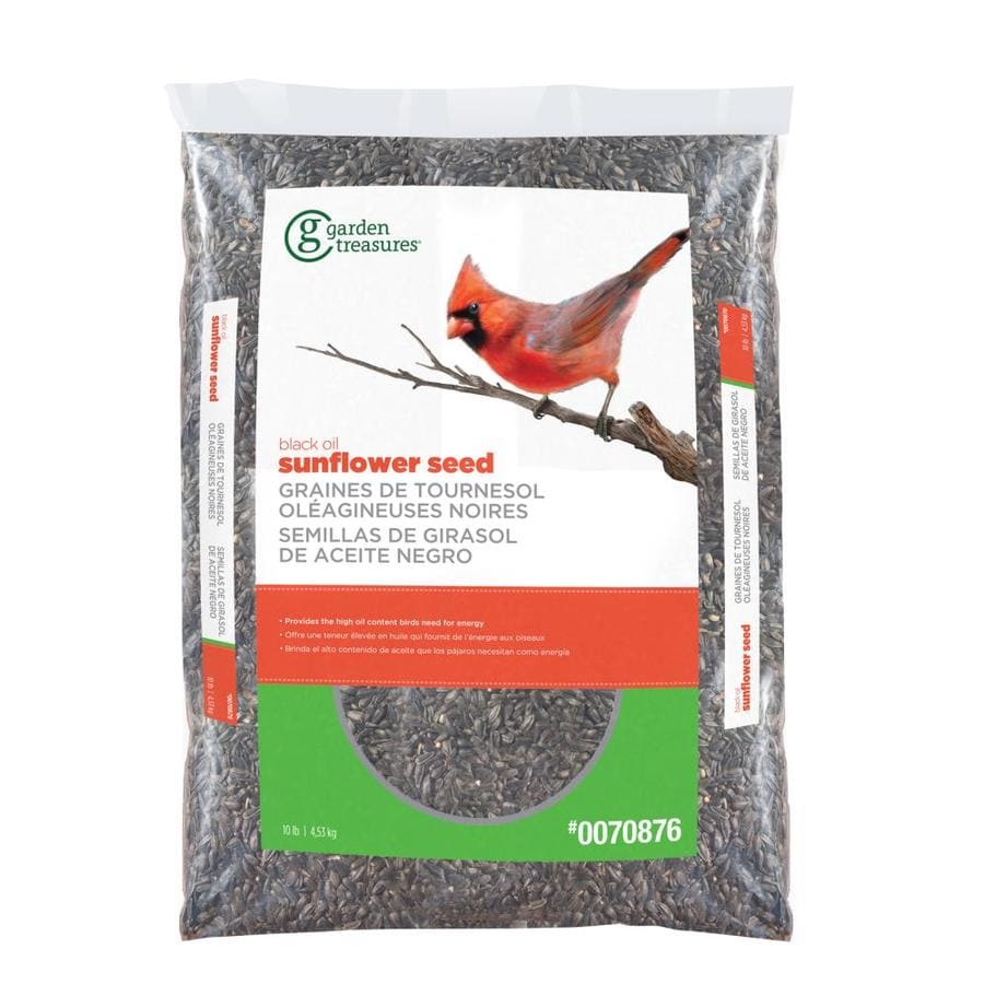 Shop Garden Treasures 10-lb Bird Seed Bag (Black Oil Sunflower) at ...