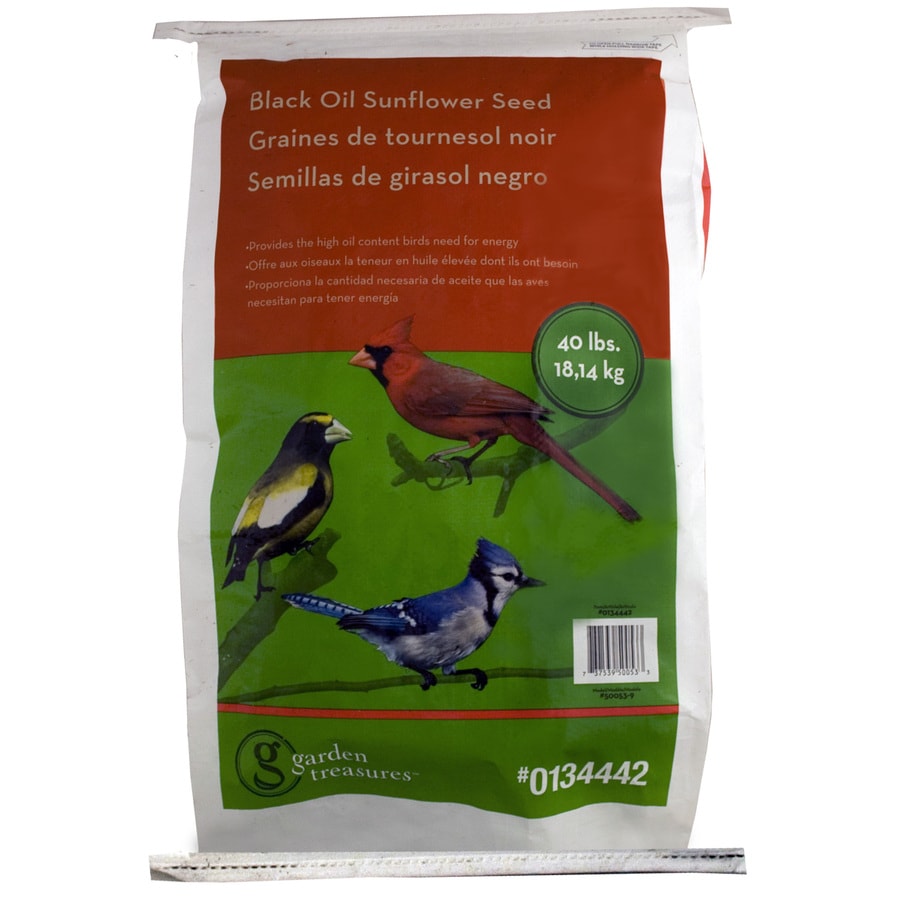 black oil sunflower seeds for birds lowes