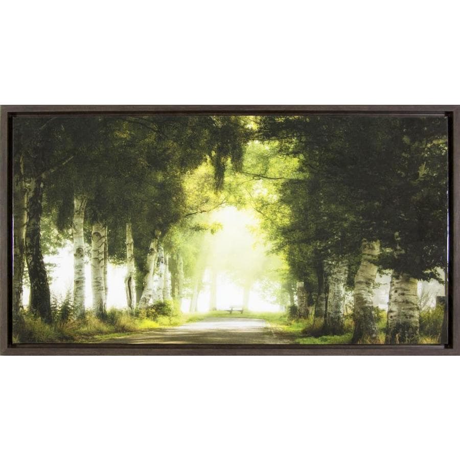 Framed Landscape Print On Canvas At