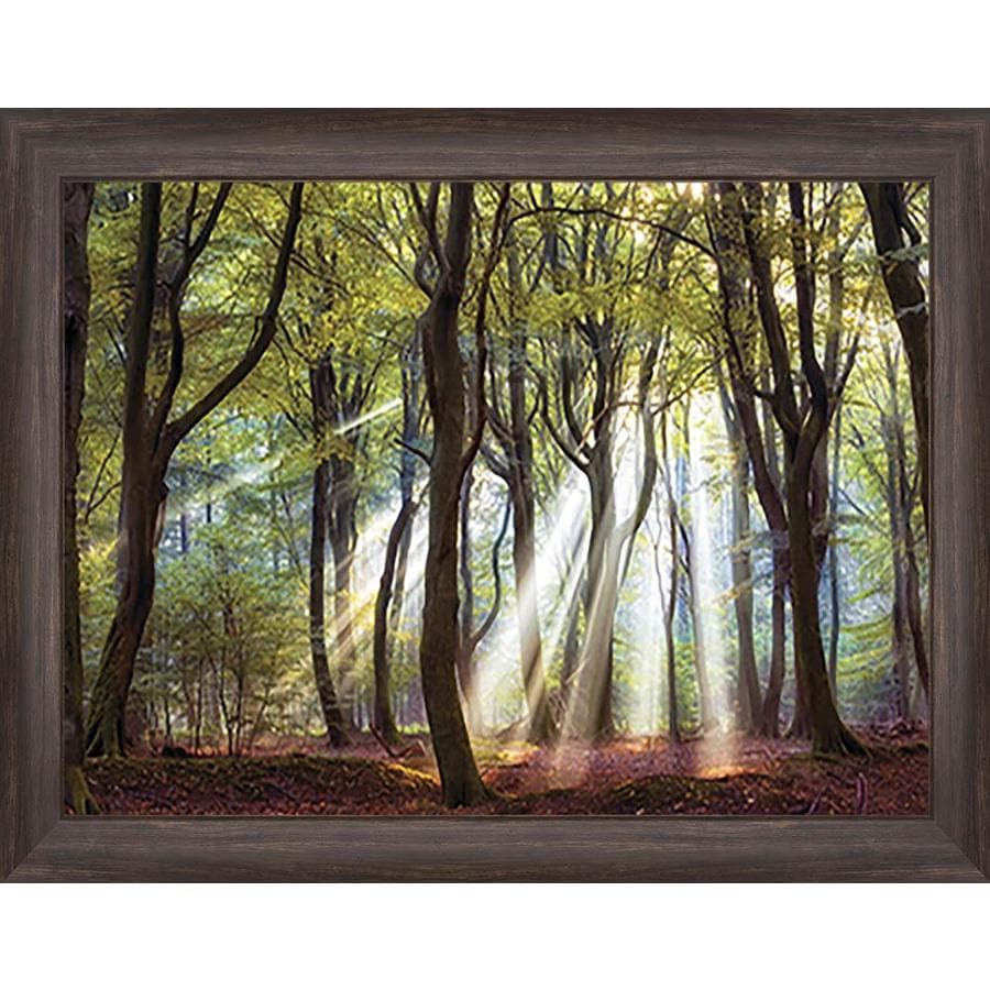 Framed Landscape Print at Lowes.com