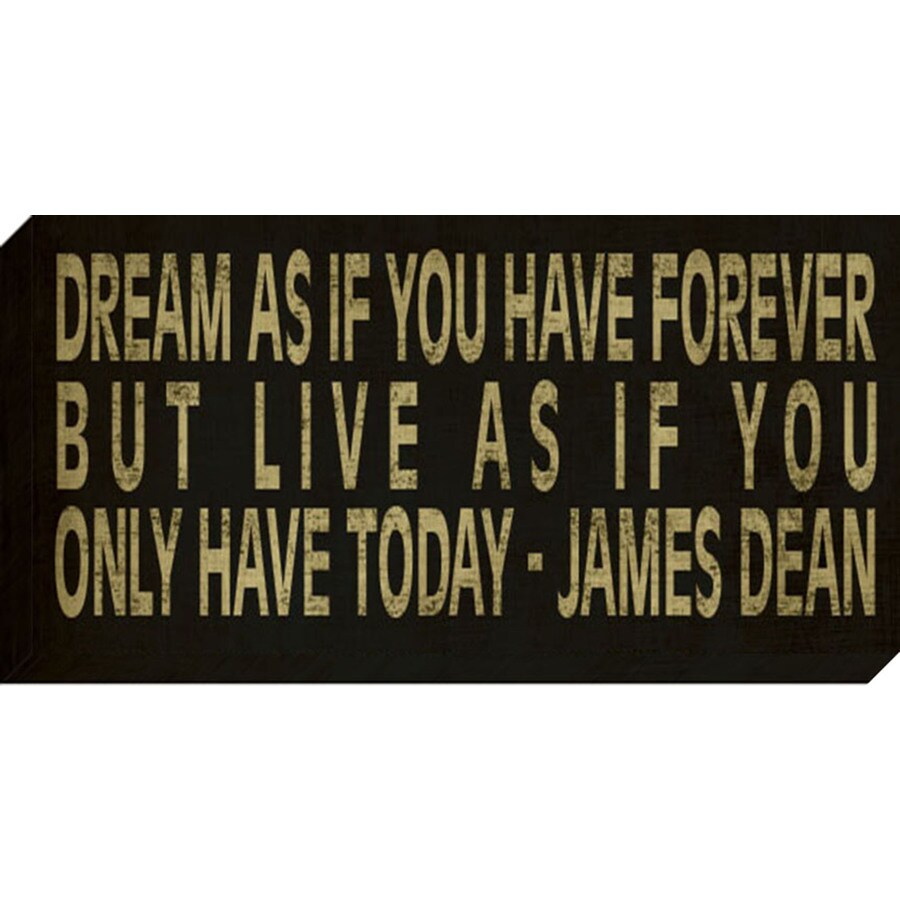  1404-8095 12-in W x 24-in H James Dean Quote Canvas Print
